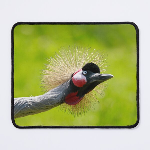 Item preview, Cranes up  designed and sold by miradorpictures.