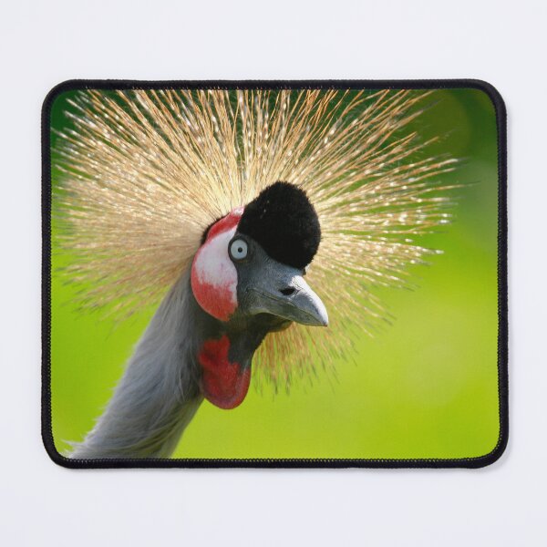 Item preview, Cranes up designed and sold by miradorpictures.