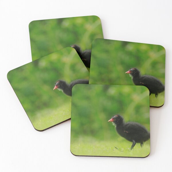 Item preview, Baby steps  designed and sold by miradorpictures.