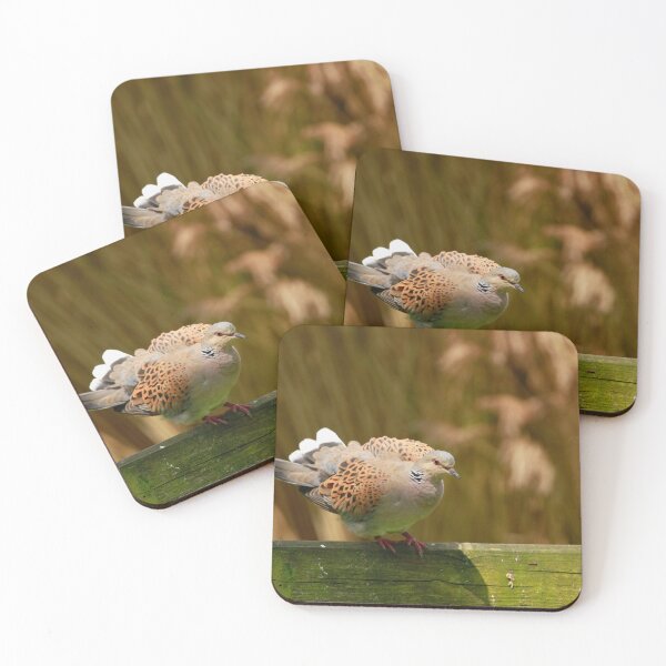Item preview, Taking off  designed and sold by miradorpictures.