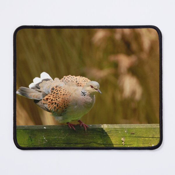 Item preview, Taking off  designed and sold by miradorpictures.