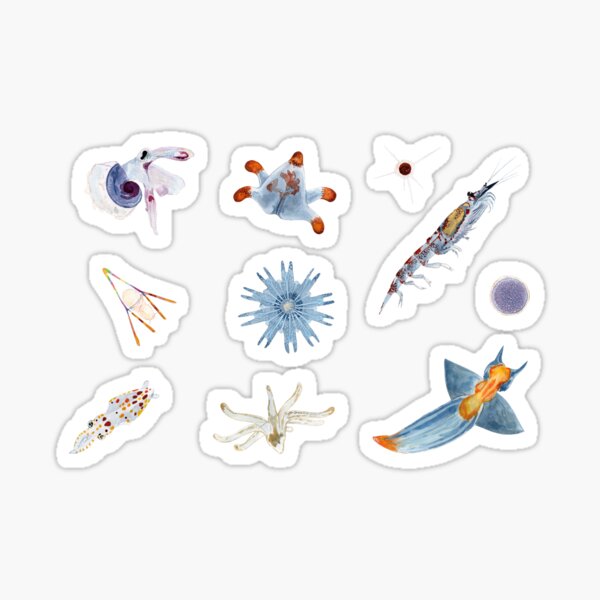 Item preview, PLANKTON-zooplankton designed and sold by BEATRIZ ABAITUA.