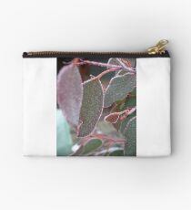 Snow Gum Studio Pouch