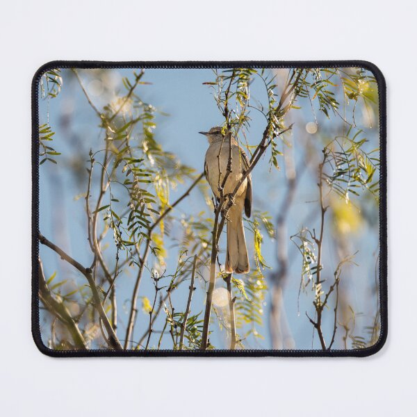 Item preview, Mockingbird the Texas State Bird designed and sold by Debra Martz.