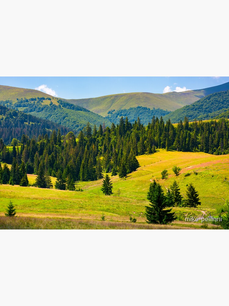 forested hills of Borzhava in summer by mike-pellinni