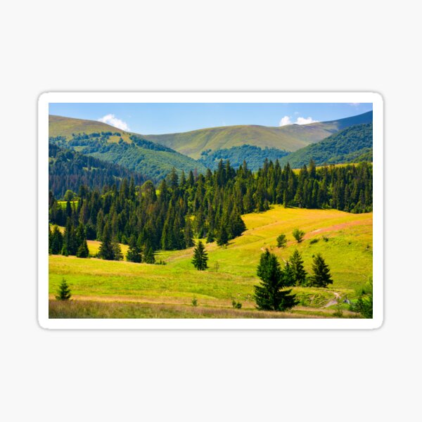 forested hills of Borzhava in summer Sticker