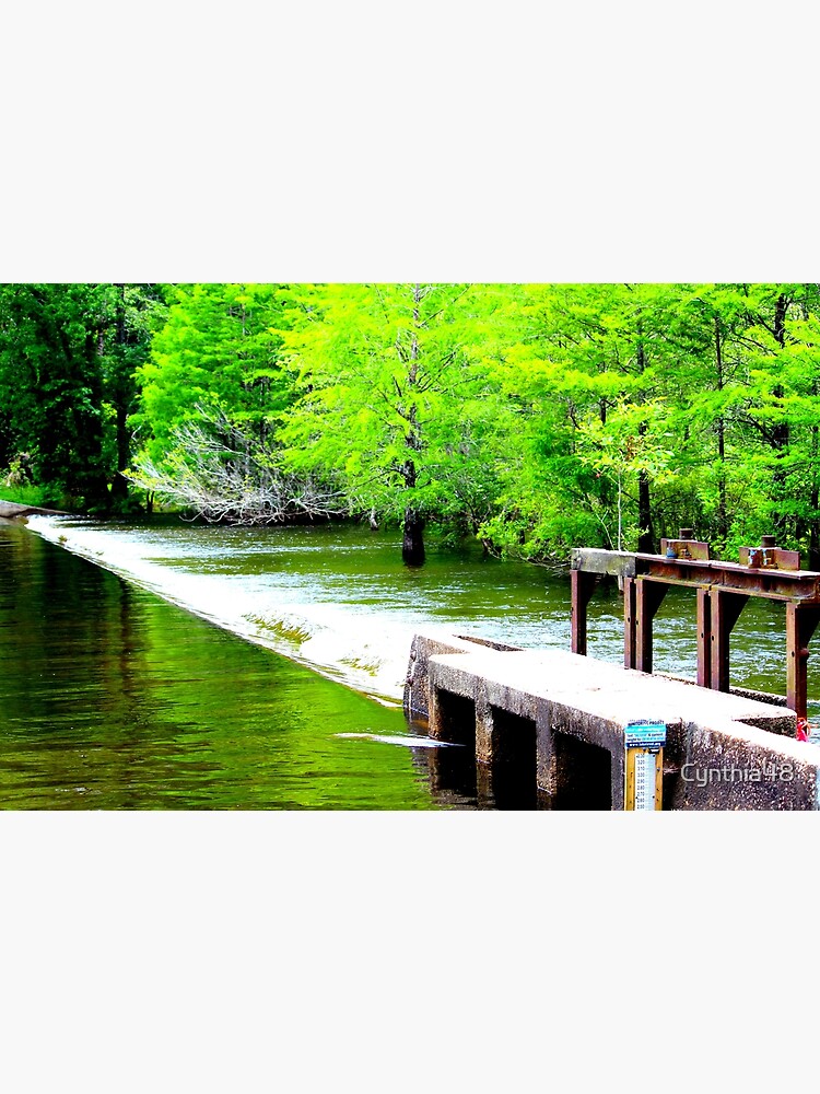 "Lake Waccamaw Dam" Poster for Sale by Cynthia48 Redbubble