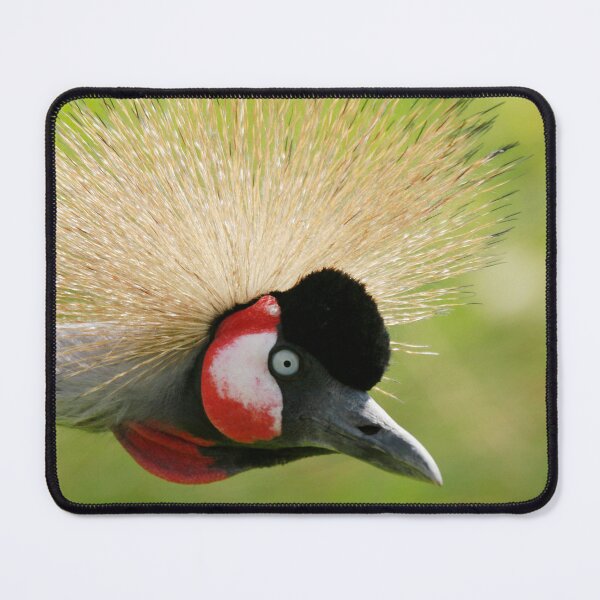 Item preview, Curious Crane designed and sold by miradorpictures.