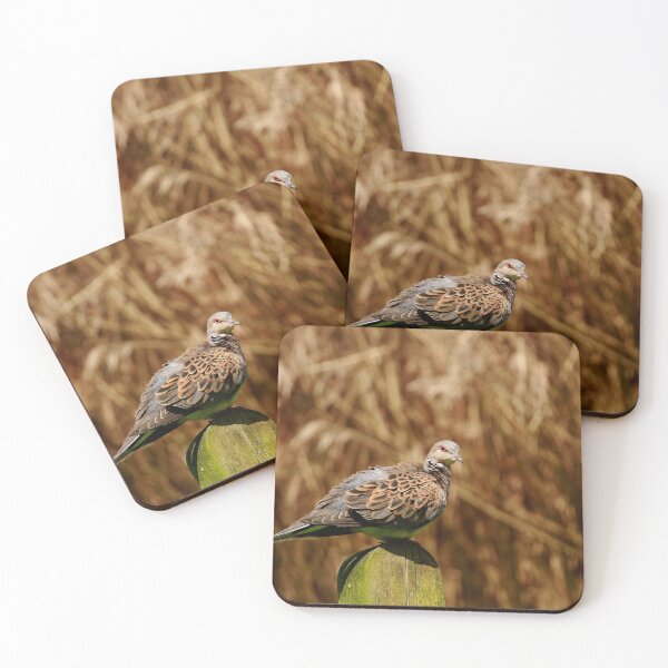 Item preview, Turtle doved designed and sold by miradorpictures.