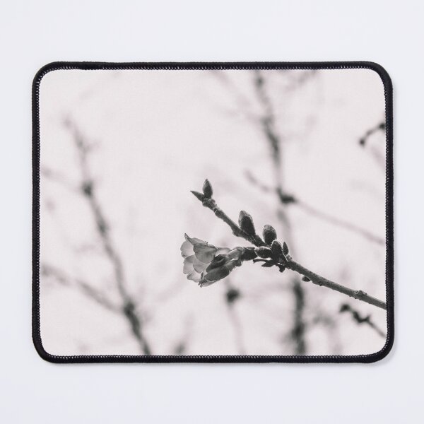 Item preview, Little Wonder designed and sold by SeenbyStraub.