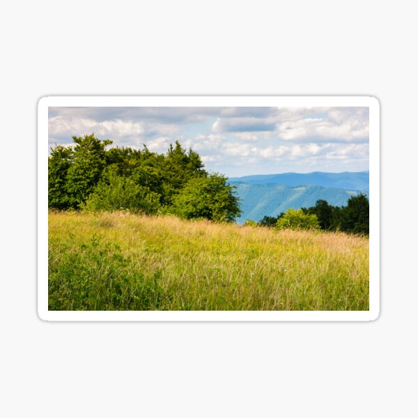 meadow with wild herbs on top of a hill in summer Sticker