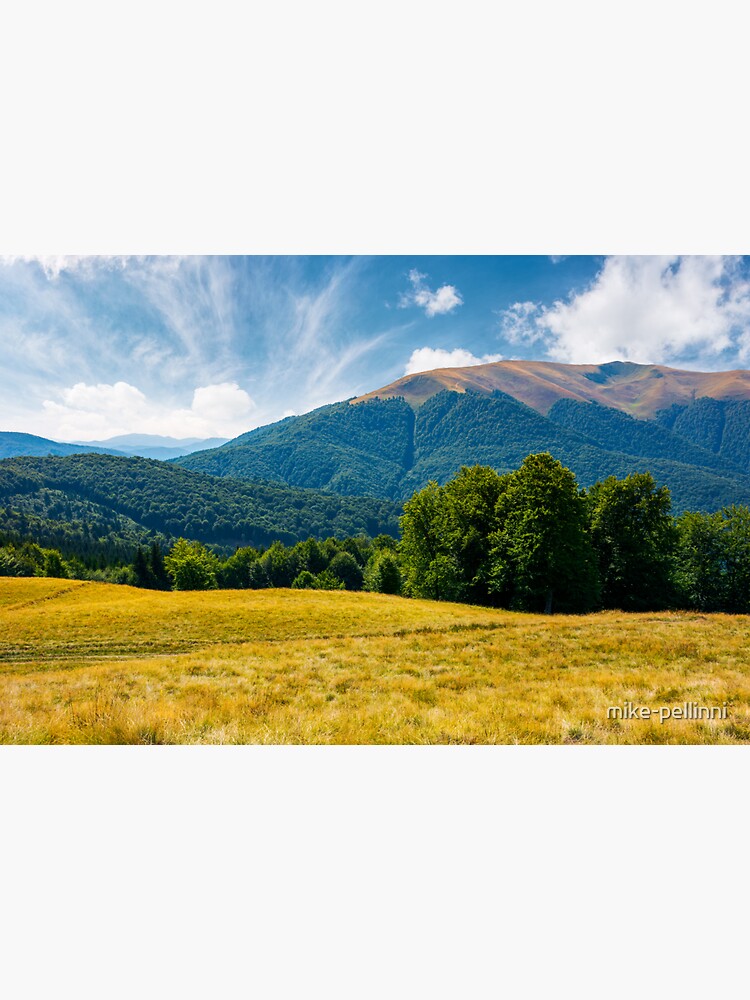 beech forest at the foot of Apetska mountain by mike-pellinni