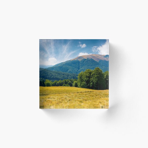 beech forest at the foot of Apetska mountain Acrylic Block