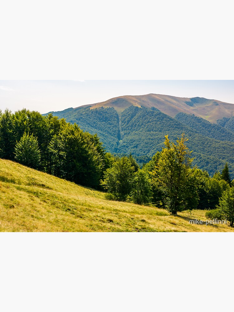 forested hills of Carpathian mountains in summer by mike-pellinni