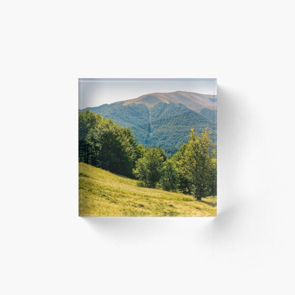 forested hills of Carpathian mountains in summer Acrylic Block