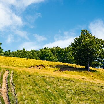 Artwork thumbnail, mountain road uphill along the forest by mike-pellinni