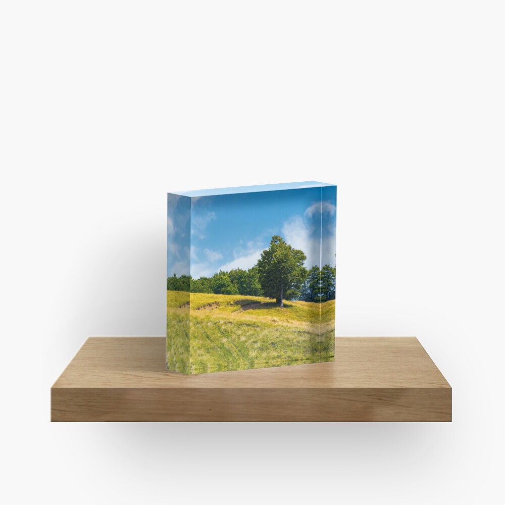 Item preview, Acrylic Block designed and sold by mike-pellinni.