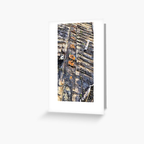 Shipwreck En Plein Air English Coastal Seascape by Blink Friction Greeting Card