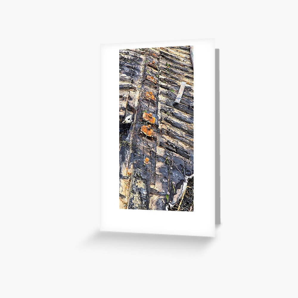 Item preview, Greeting Card designed and sold by taletellerclub.