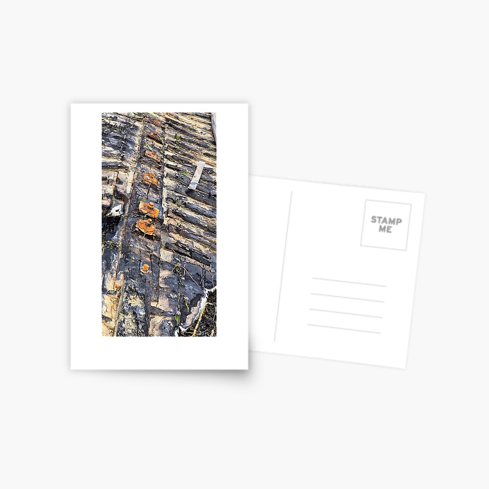 Item preview, Postcard designed and sold by taletellerclub.