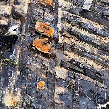 Artwork thumbnail, Shipwreck En Plein Air English Coastal Seascape by Blink Friction by Blink Friction Imaging