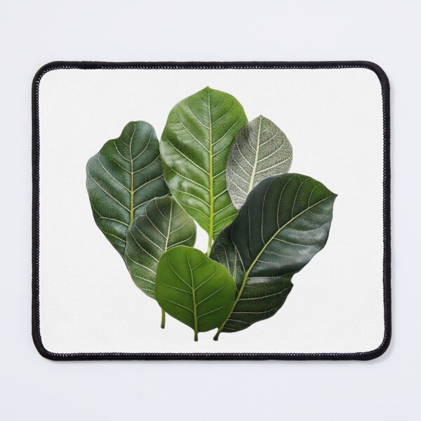 Item preview, Abstract Fiddle Leaf Fig Lines & Forms designed and sold by BenPetley.