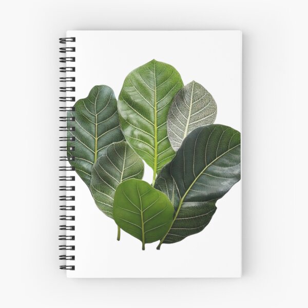 Item preview, Abstract Fiddle Leaf Fig Lines & Forms designed and sold by BenPetley.