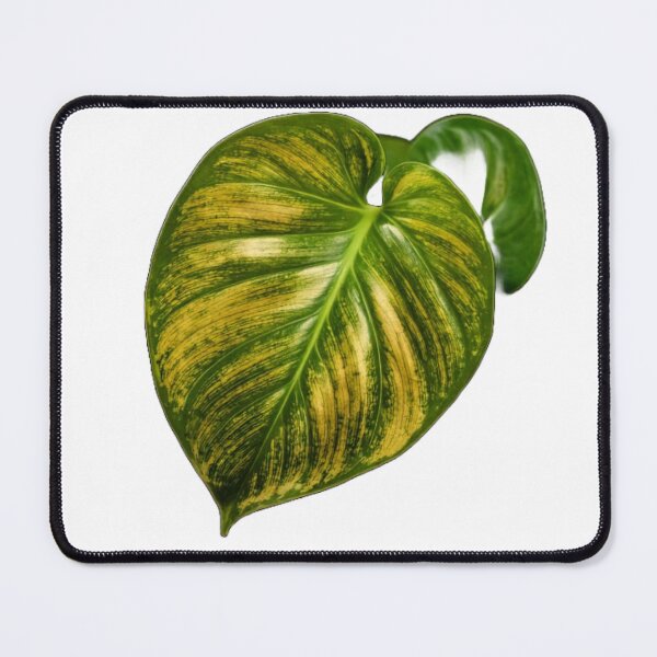 Item preview, Golden Pothos Leaf - Hyperrealistic Detail designed and sold by BenPetley.