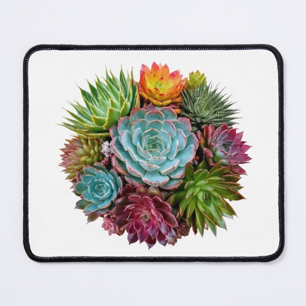 Item preview, Succulent Burst - Colorful Plant Explosion designed and sold by BenPetley.