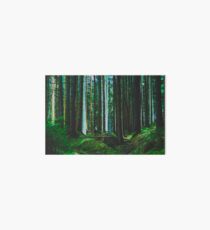 Wald Art Board
