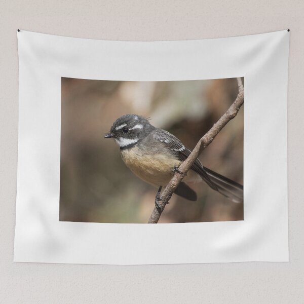 Item preview, Beautiful Gray Fantail designed and sold by David  Hibberd.