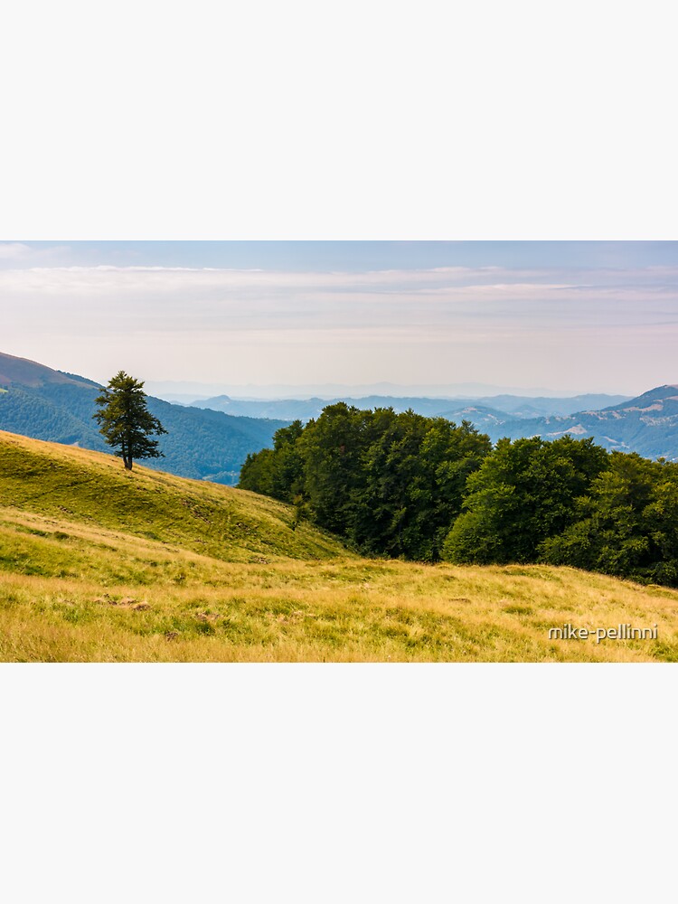 Thumbnail 3 of 3, Sticker, forested hills of Carpathian mountains designed and sold by mike-pellinni.