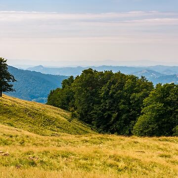 Artwork thumbnail, forested hills of Carpathian mountains by mike-pellinni