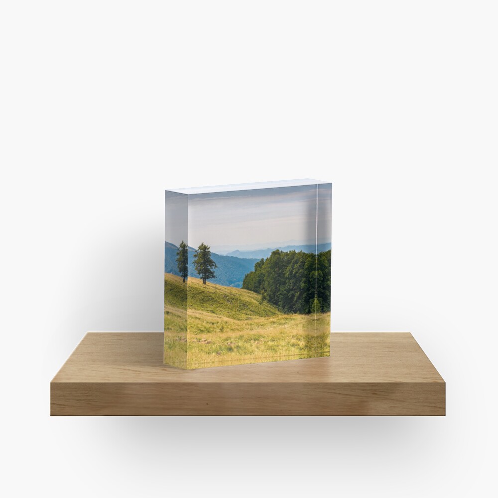 Item preview, Acrylic Block designed and sold by mike-pellinni.
