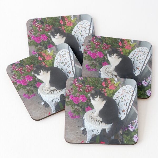 Item preview, Tuxedo Cat Cute and Beautiful Flowers designed and sold by Sarah  Rajkotwala.