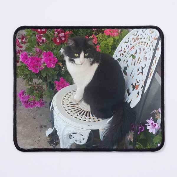 Item preview, Tuxedo Cat Cute and Beautiful Flowers designed and sold by Sarah Rajkotwala.
