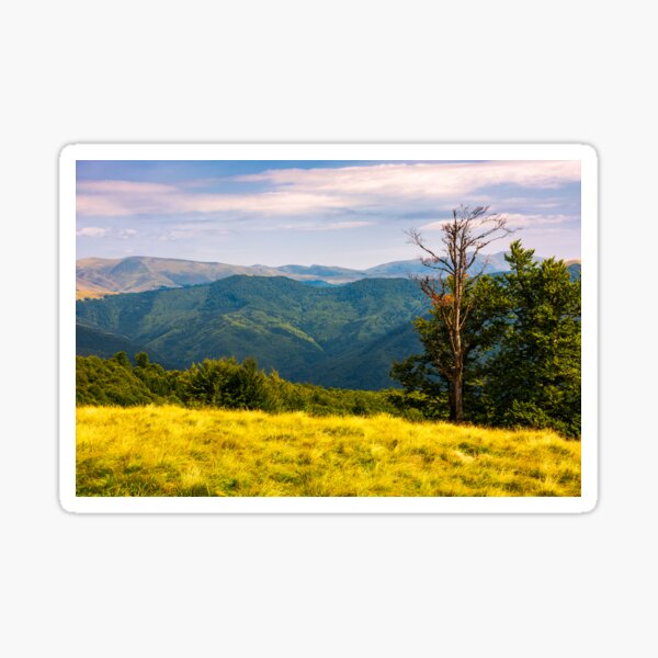 trees on a hillside with mountains in the distance Sticker