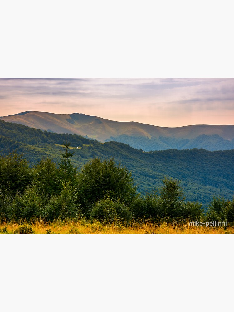 forested hills of Carpathian mountains in summer by mike-pellinni