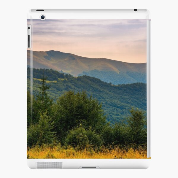 forested hills of Carpathian mountains in summer iPad Snap Case