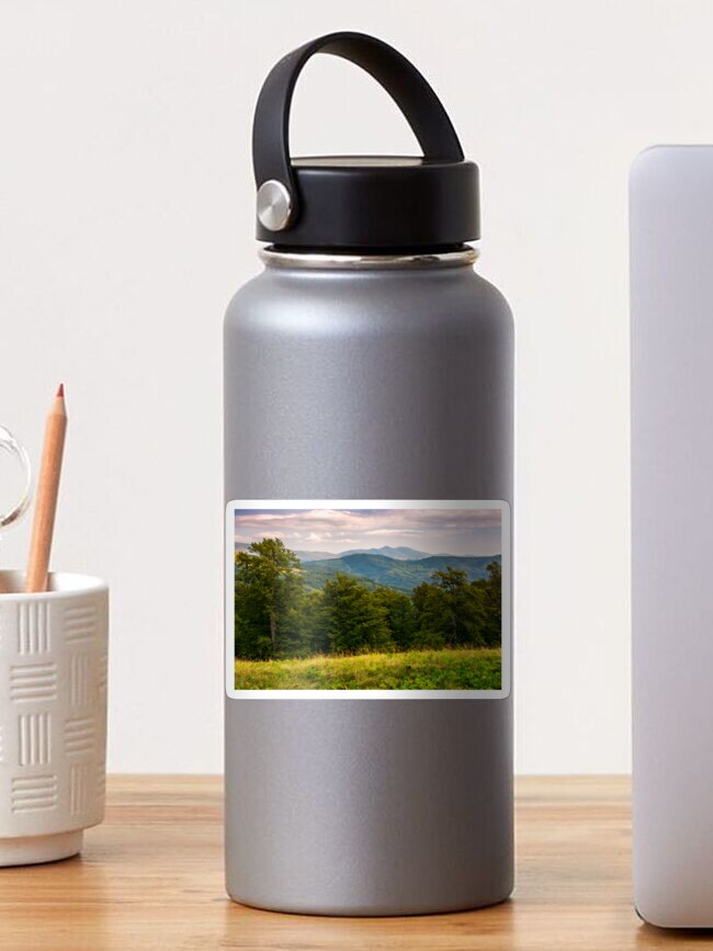 Thumbnail 1 of 3, Sticker, beech forest of Carpathian mountains in afternoon designed and sold by mike-pellinni.