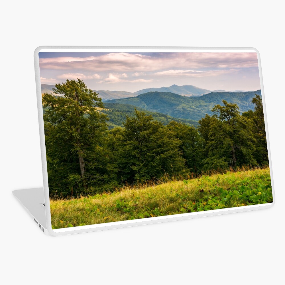 Item preview, Laptop Skin designed and sold by mike-pellinni.