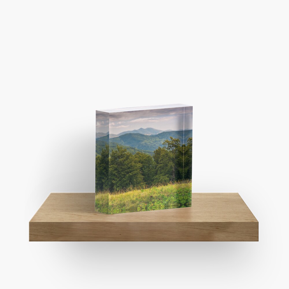 Item preview, Acrylic Block designed and sold by mike-pellinni.