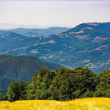 Artwork thumbnail, forested hills of Carpathian mountains by mike-pellinni