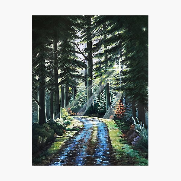 Item preview, evergreen 25 designed and sold by bellacpaintings.