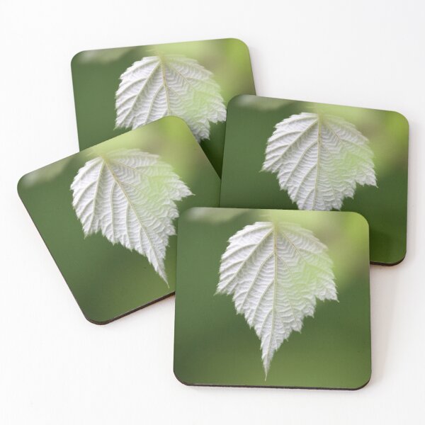 Item preview, Meditation designed and sold by BryanJollyPhoto.