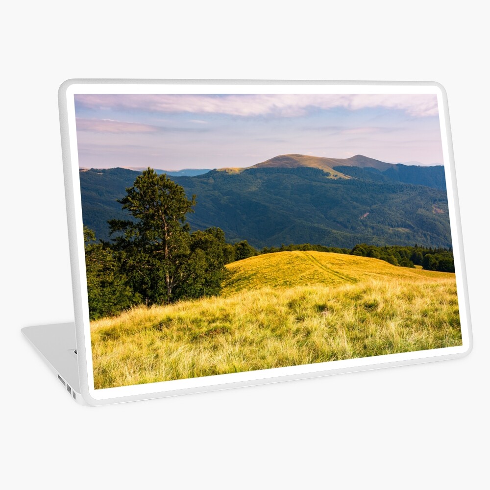 Item preview, Laptop Skin designed and sold by mike-pellinni.