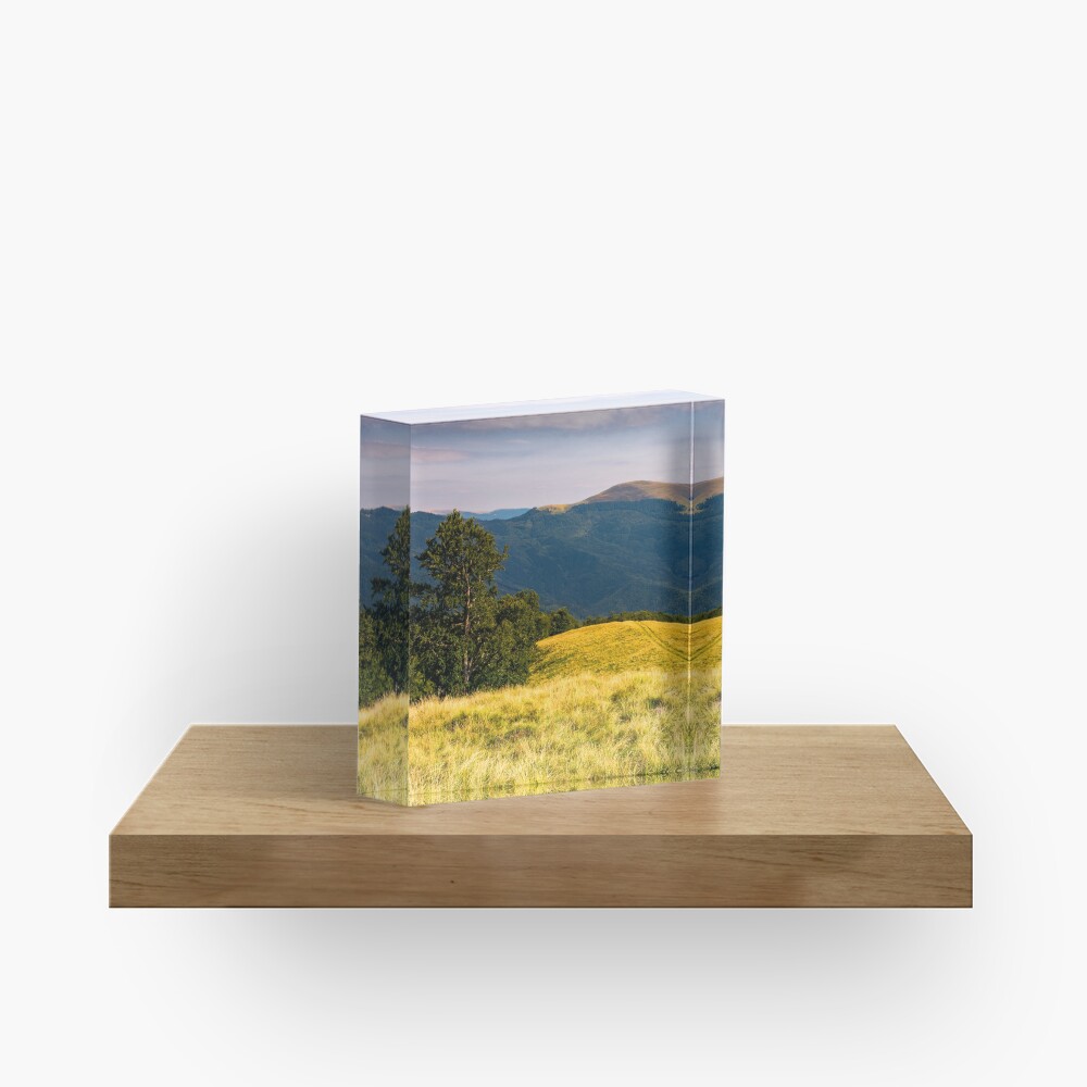 Item preview, Acrylic Block designed and sold by mike-pellinni.