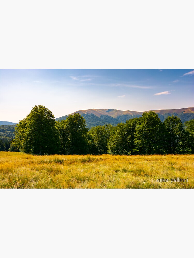 Thumbnail 3 of 3, Sticker, beech forest at the foot of Apetska mountain designed and sold by mike-pellinni.