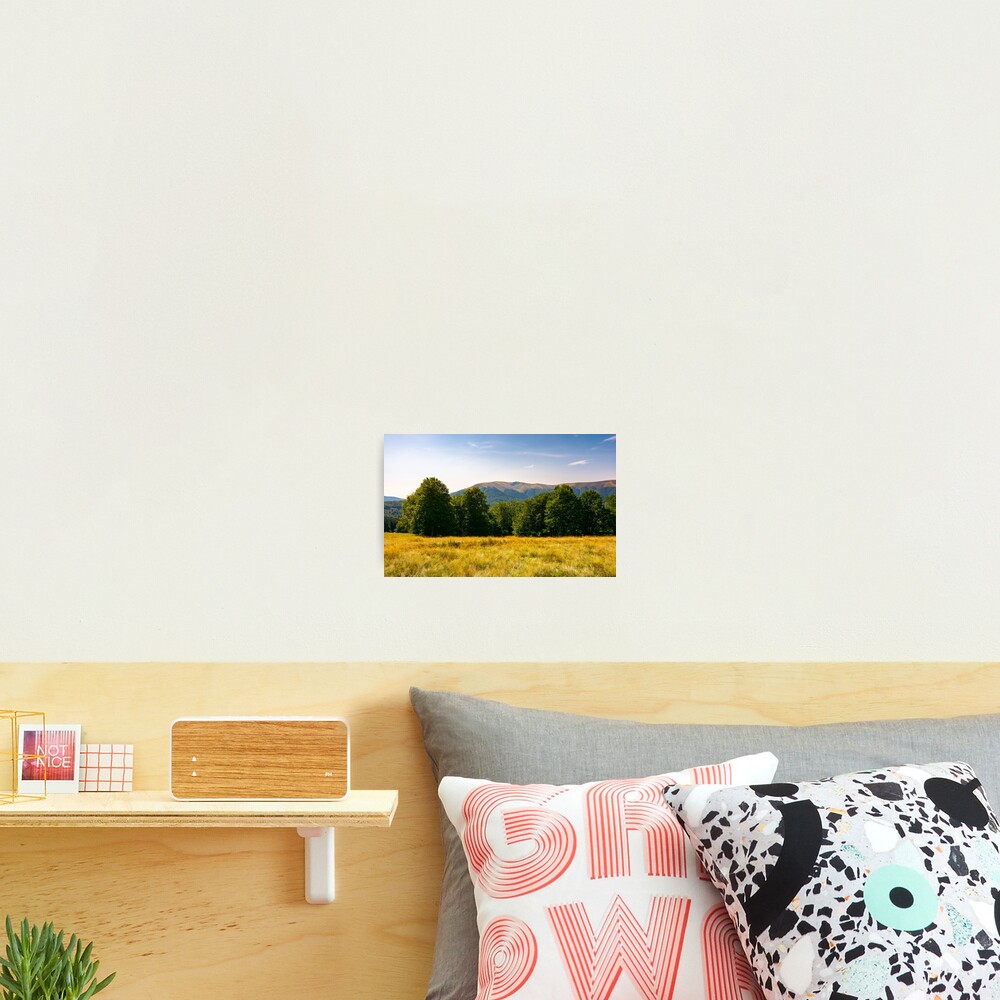 Item preview, Photographic Print designed and sold by mike-pellinni.