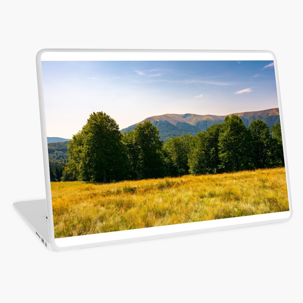 Item preview, Laptop Skin designed and sold by mike-pellinni.